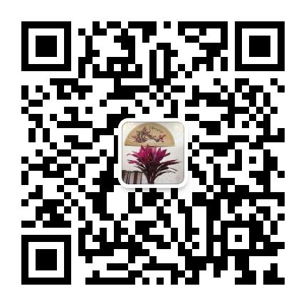 person-wechat